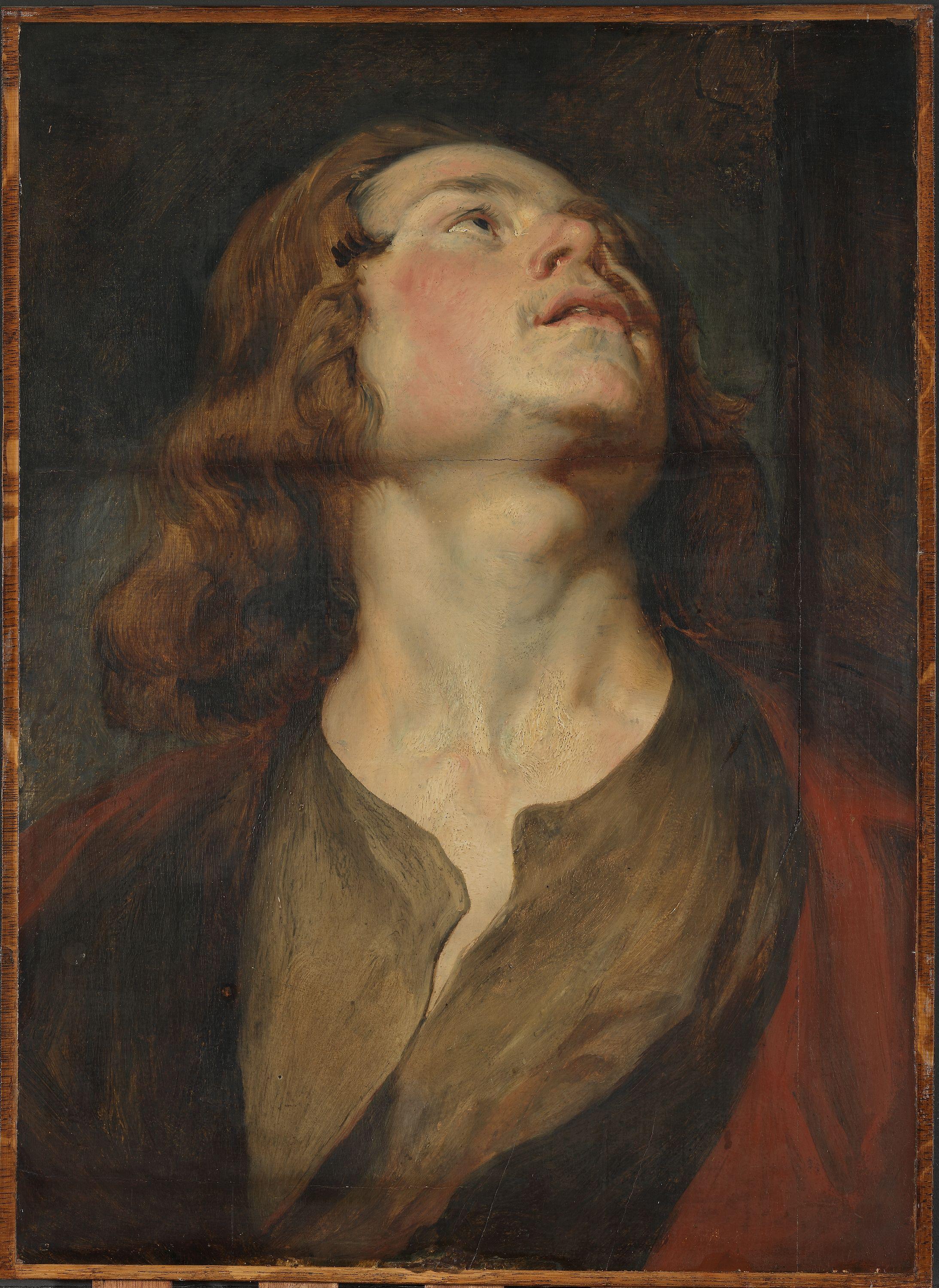 Anthony van Dyck, Head of Saint John