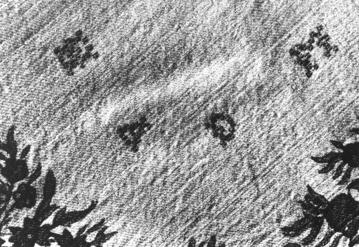 Anna Grostøl, Detalj av mykt og tynt tørkle med påtrykt kantbord, fra ca 1858. Tydal, Sør-Trøndelag 1938.
