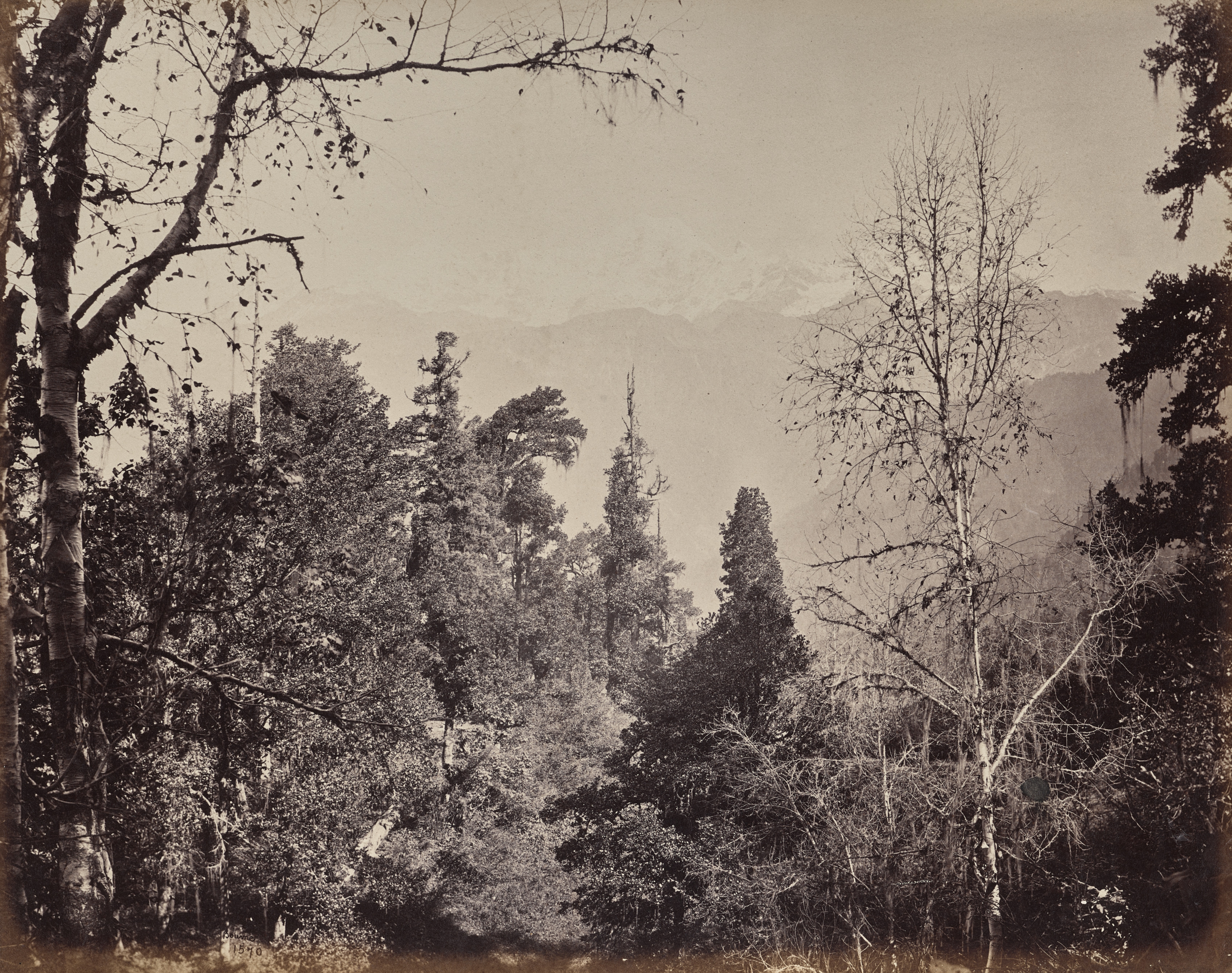 Samuel Bourne, The Upper Himmalayahs. View of the Mountain of Bunderpoonch with the Jumnootri Peak, 20,458 above the Level of the Sea