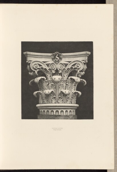 Édouard Baldus, Nouveau Louvre
