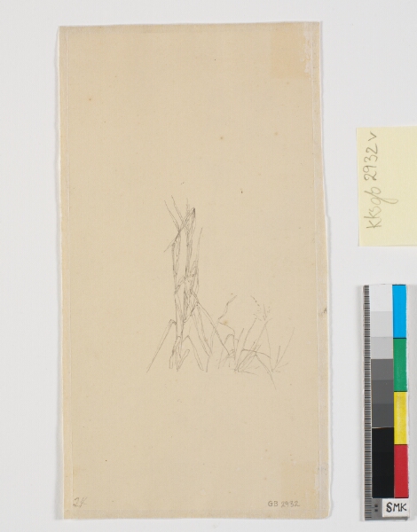 Christen Købke, Planterids