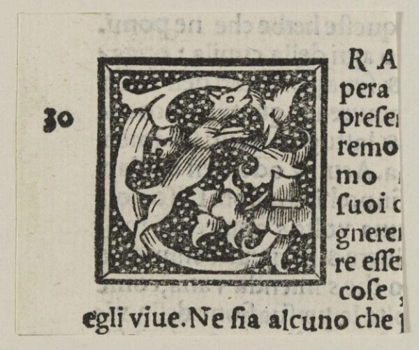 Unknown, Print