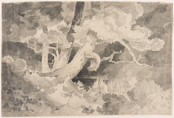 Unknown, Drawing by a member of the Sketching Society