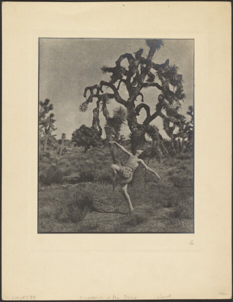 Louis Fleckenstein, Inspiration of the Dance