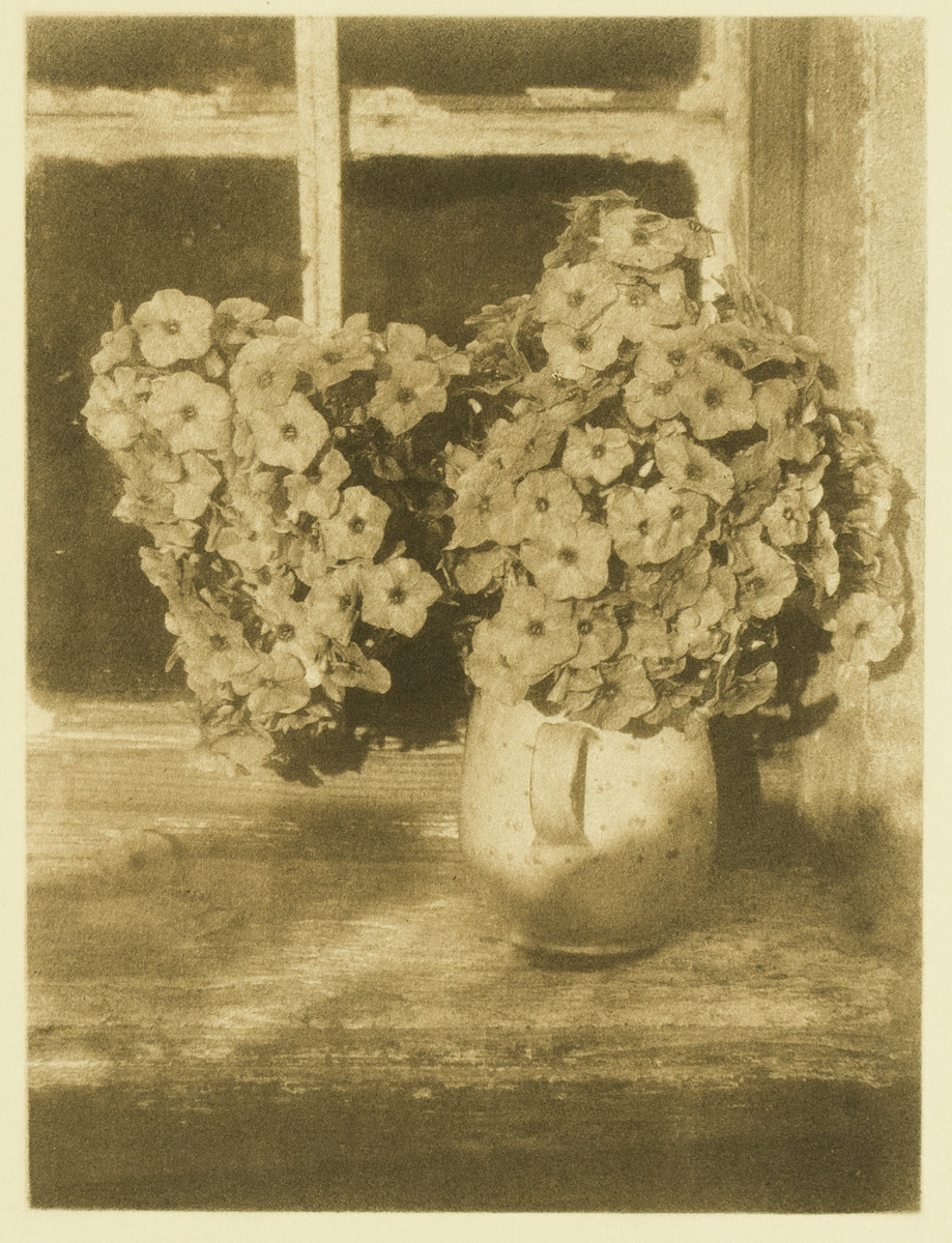 Heinrich Kühn, Blumenstillleben