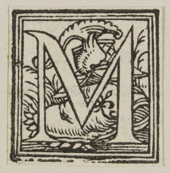 Unknown, Print