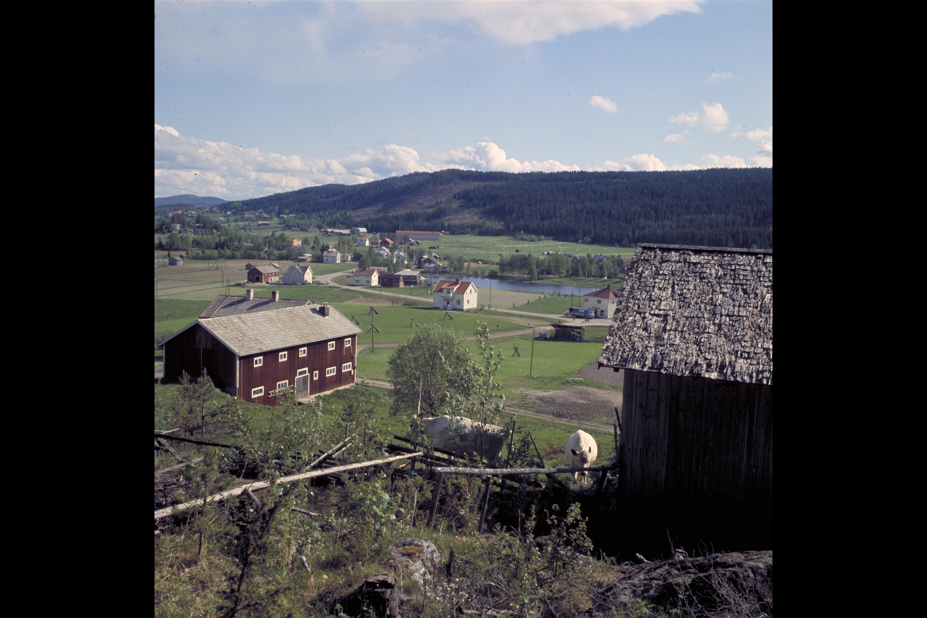 Pål-Nils Nilsson, Kubbe