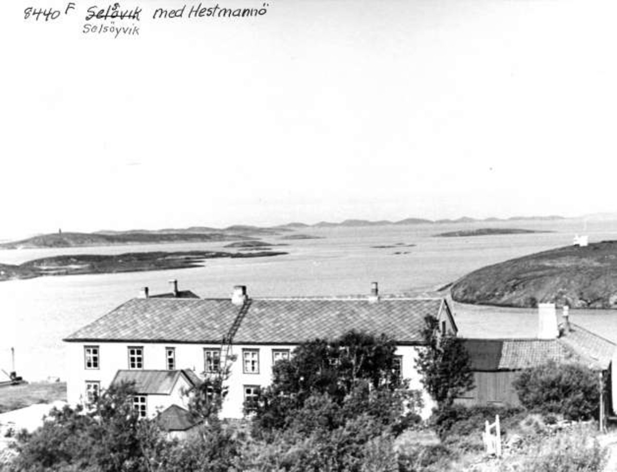 Anders Beer Wilse, -5821