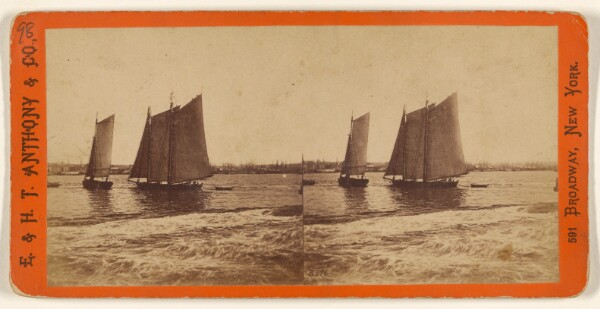 Edward and Henry T. Anthony & Co., View in New-York Harbor, taken from the Battery.