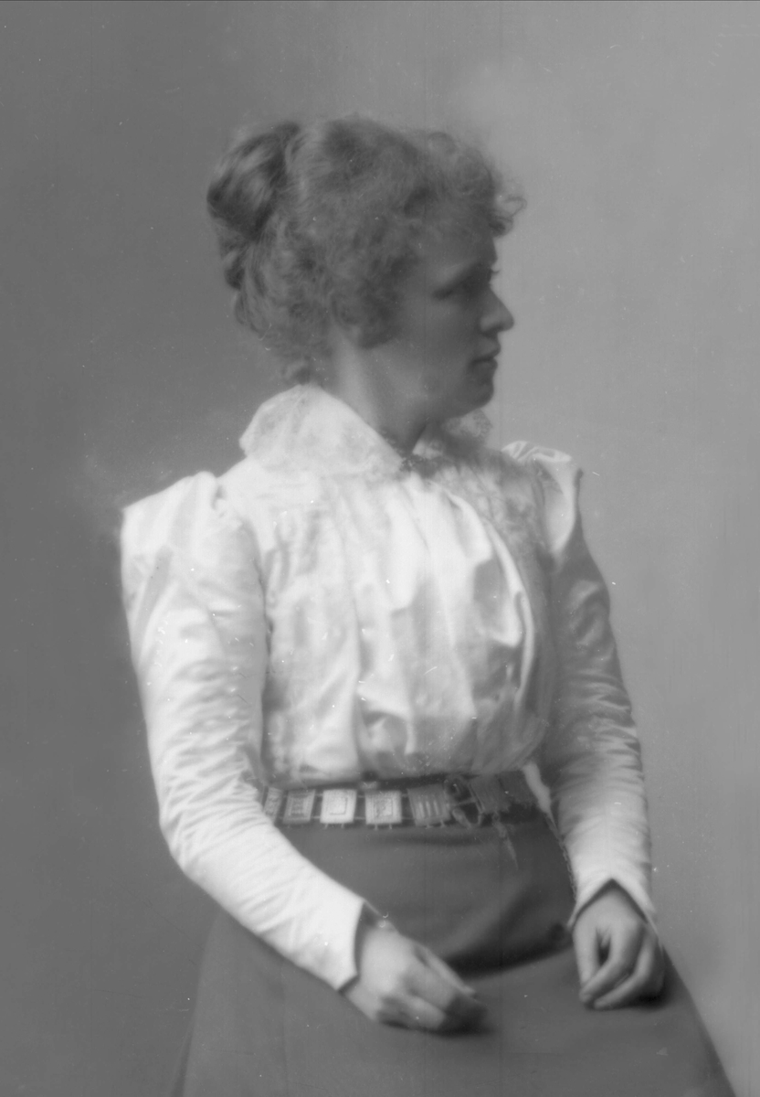 Gustav Borgen, NFB.09803