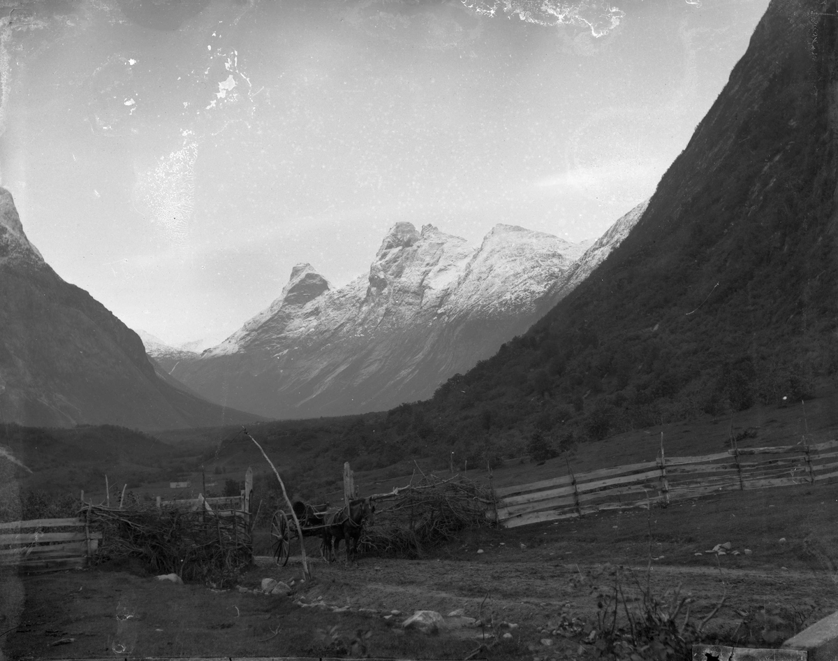 Marthinius Skøien, Fra Isterdalen. Bispen, Kongen og Dronningen, Rauma, Møre og Romsdal. Hesteskyss i grindåpning, med fjell og dal i bakgrunnen.