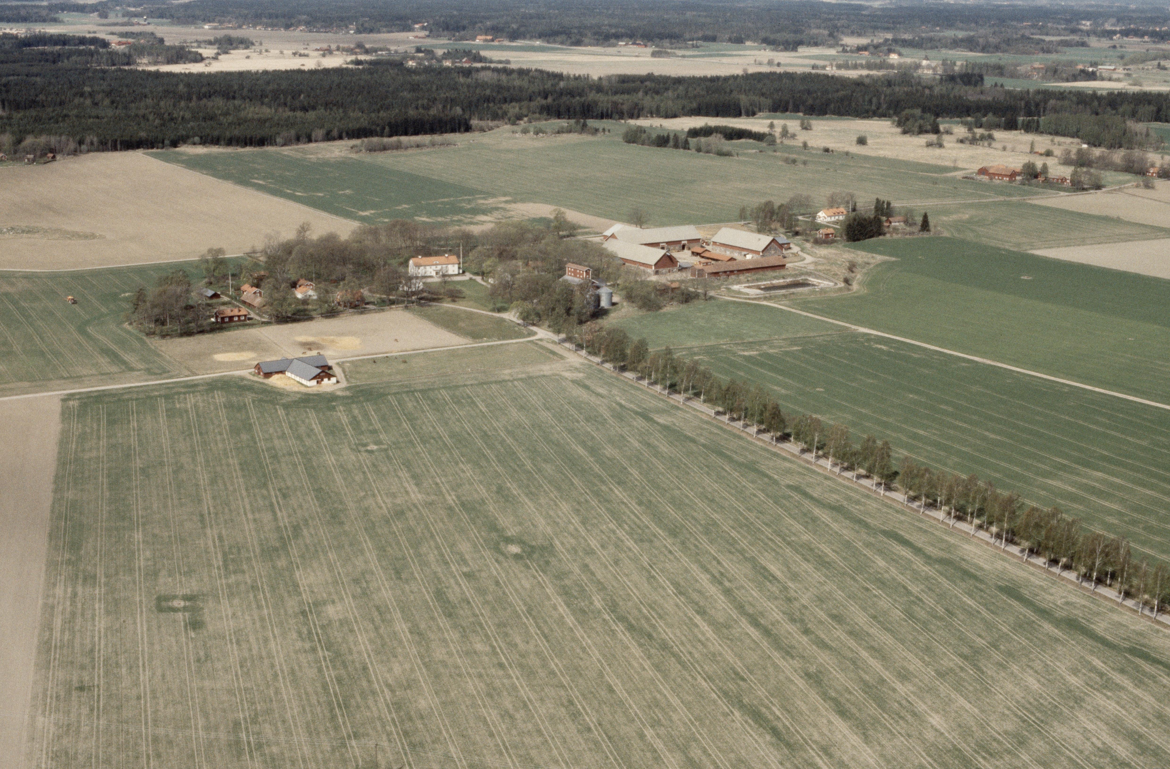 Jan Norrman, Tillinge 280:1