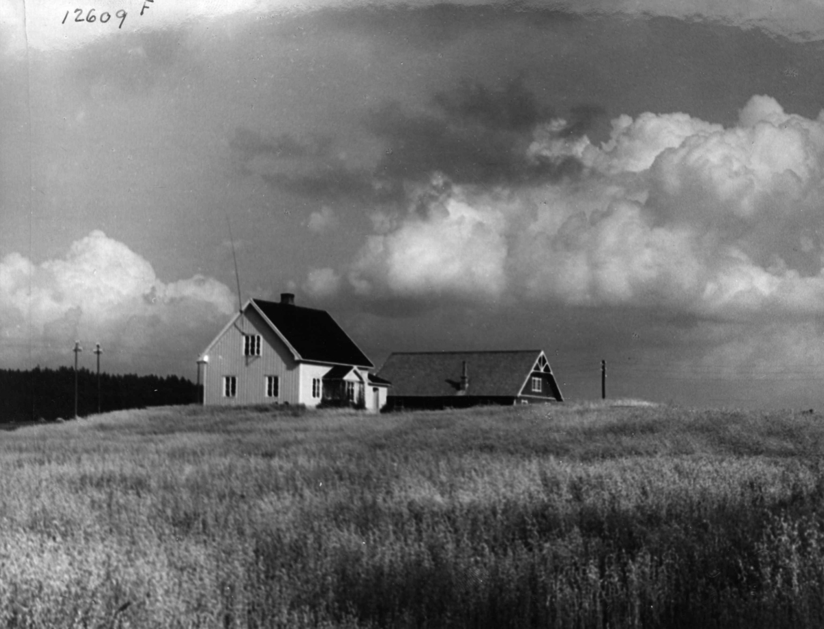 Anders Beer Wilse, Nybrott, Flisa.
