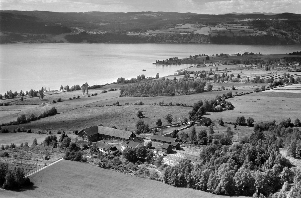 Widerøes Flyveselskap A/S, Flyfoto, gardsbruk, Mengshoel, Mjøsa, Tangnes, Nes, Hedmark.