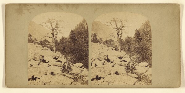London Stereoscopic and Photographic Company, [View in Dovedale?]