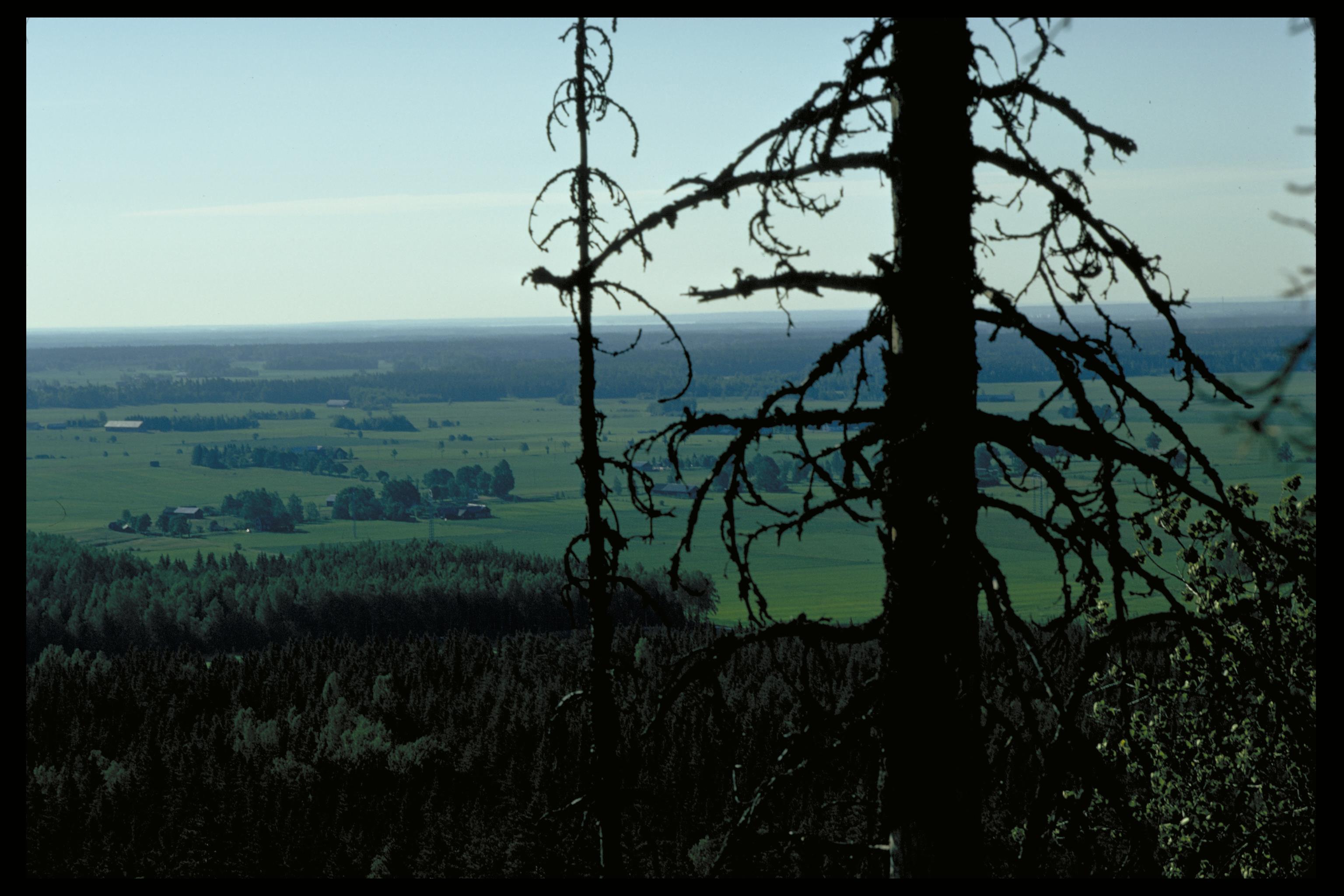 Pål-Nils Nilsson, Ullavi klint
