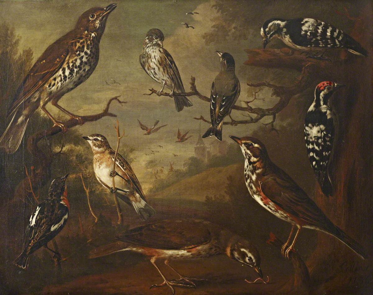 Charles Collins, British Birds: Cock Redwing; Hen Redwing; Cock Winchat; Hen Winchat; Cock Aberderine; Cock Small Spotted Woodpecker; Hen Small Spotted Woodpecker; Cock Davis
