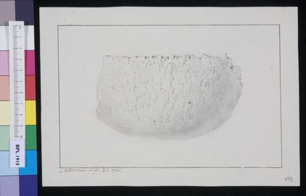 M Houtman, Unidentified subject