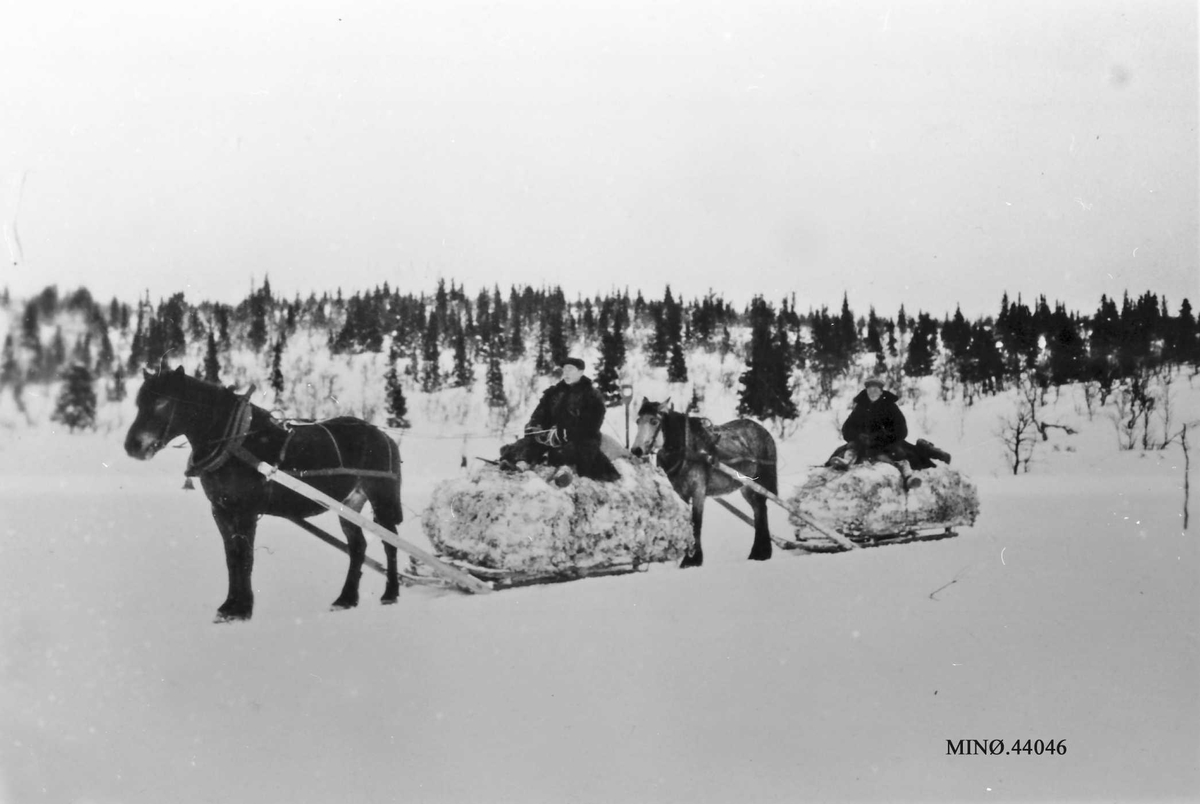 Rachel Haarseth, Hester, sleder, menn, mosekjøring, naturforhold.