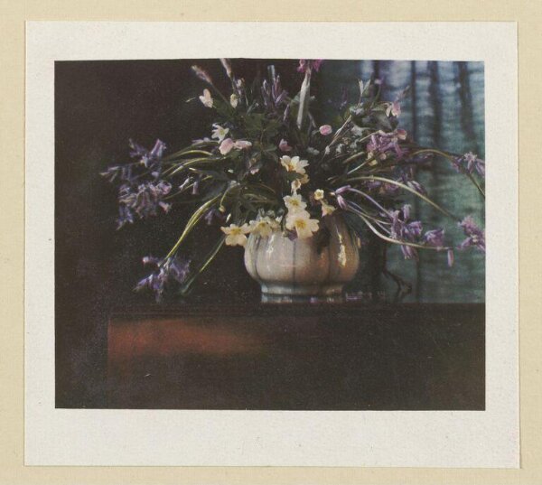 Warburg, Agnes Beatrice, Wild Flowers