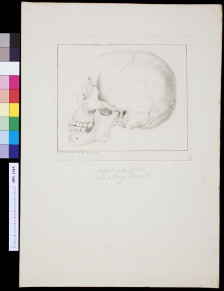 M Houtman, Skull of a black man from Asia