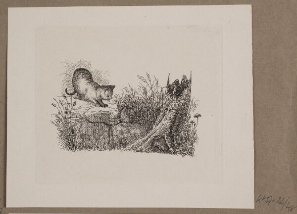 Vilhelm Kyhn, Illustration til O. Specter, "Fabler for Børn"
