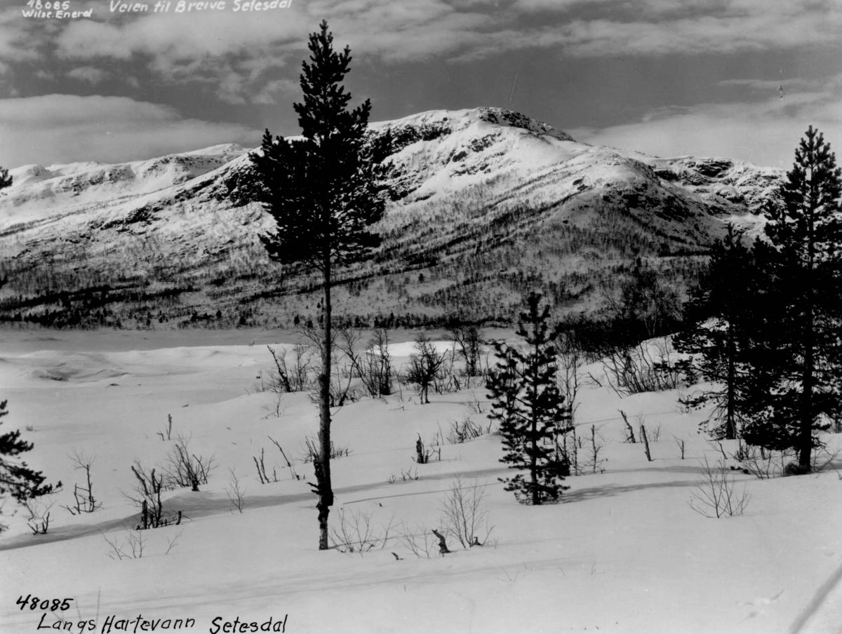 Anders Beer Wilse, Landskap, vinter, sno, Hovden.