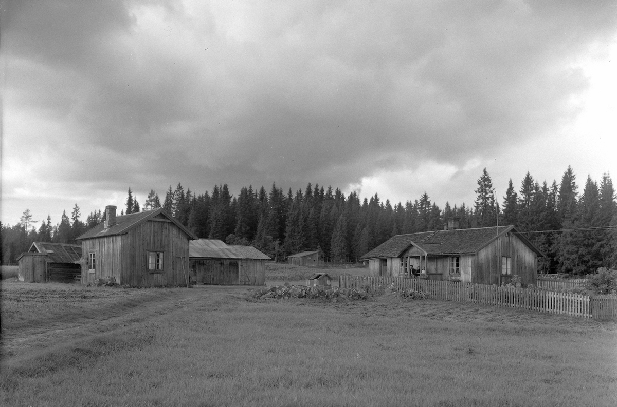 Anno Domkirkeodden, EKSTR: GARDSTUN, LØVBAK. Se Løtenboka, bind 2. Bygdeboka fra 1953, side 163