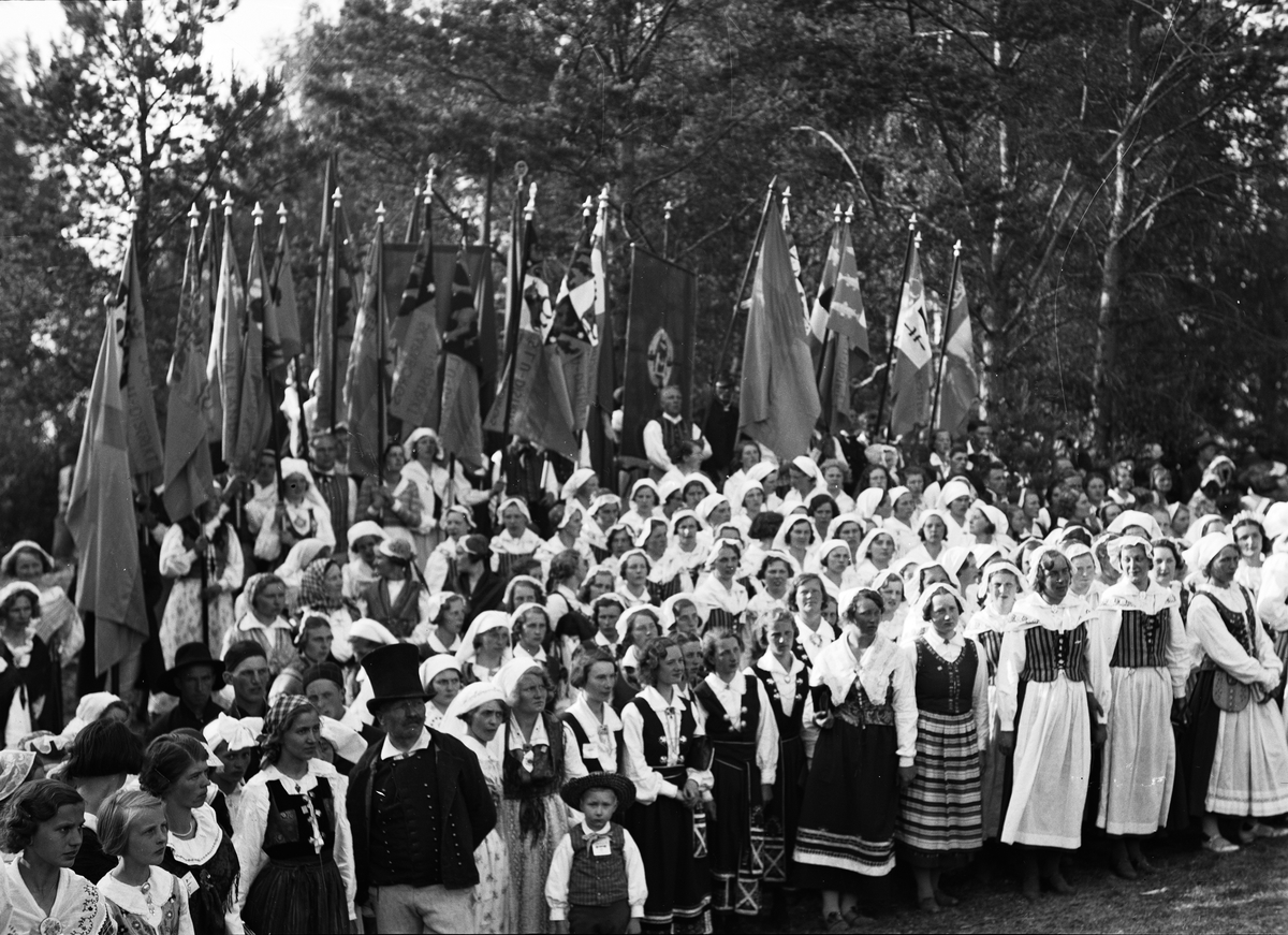 Paul Sandberg, “Nationally-dressed youth” at the Swedish Rural Youth Federation’s National Council in Old Uppsala