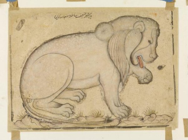 Unknown, Drawing