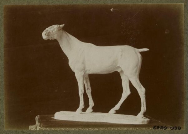 unknown, Photograph