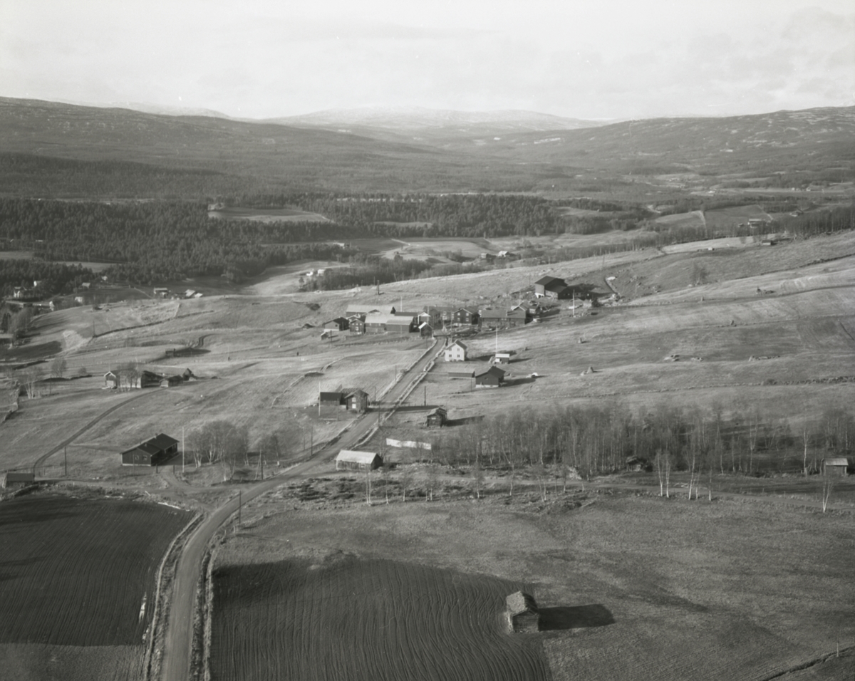 Jan Erik Øvergård, Gardsbruk Dalsbygda