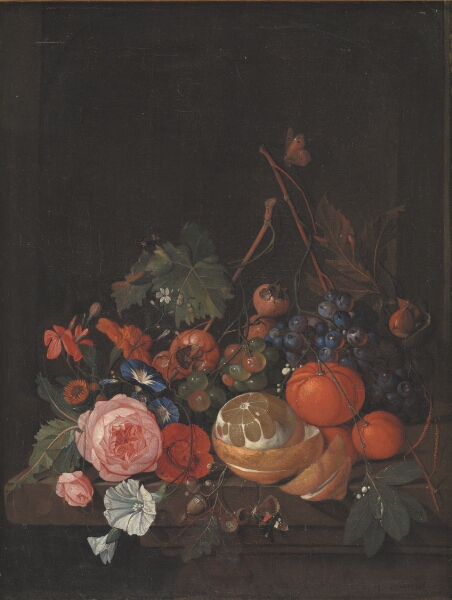 Jan Davidsz. de Heem, Blomster og frugt