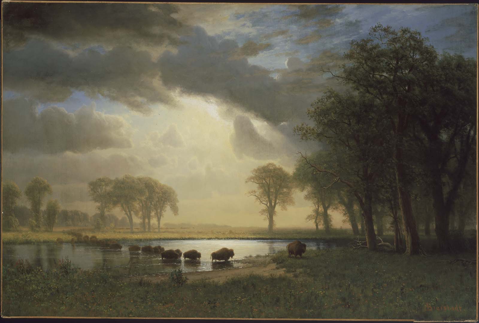 Albert Bierstadt, The Buffalo Trail