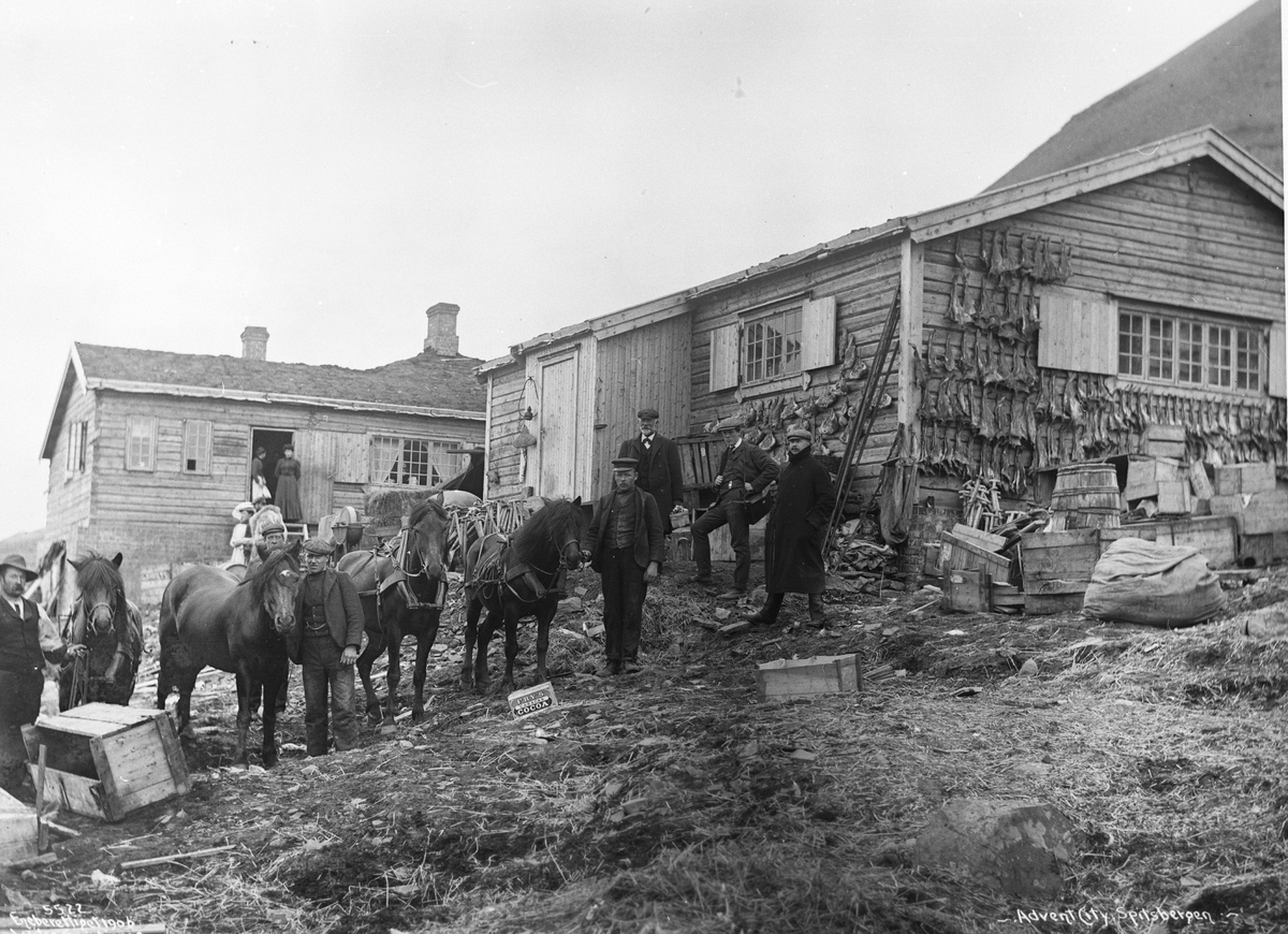 Anders Beer Wilse, Prot: Spitsbergen - Advent City Postkontoret og Heste 18/8 1906 Reg: Longyearbyen ligger i dag lenger inne i fjorden, gruvebyen ble flyttet etter total ødeleggelse under 2. verdensk