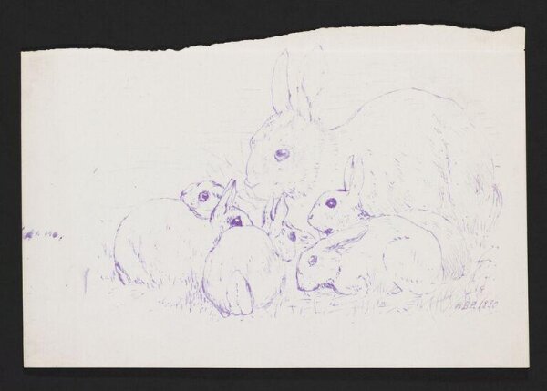 Potter, Beatrix, Print