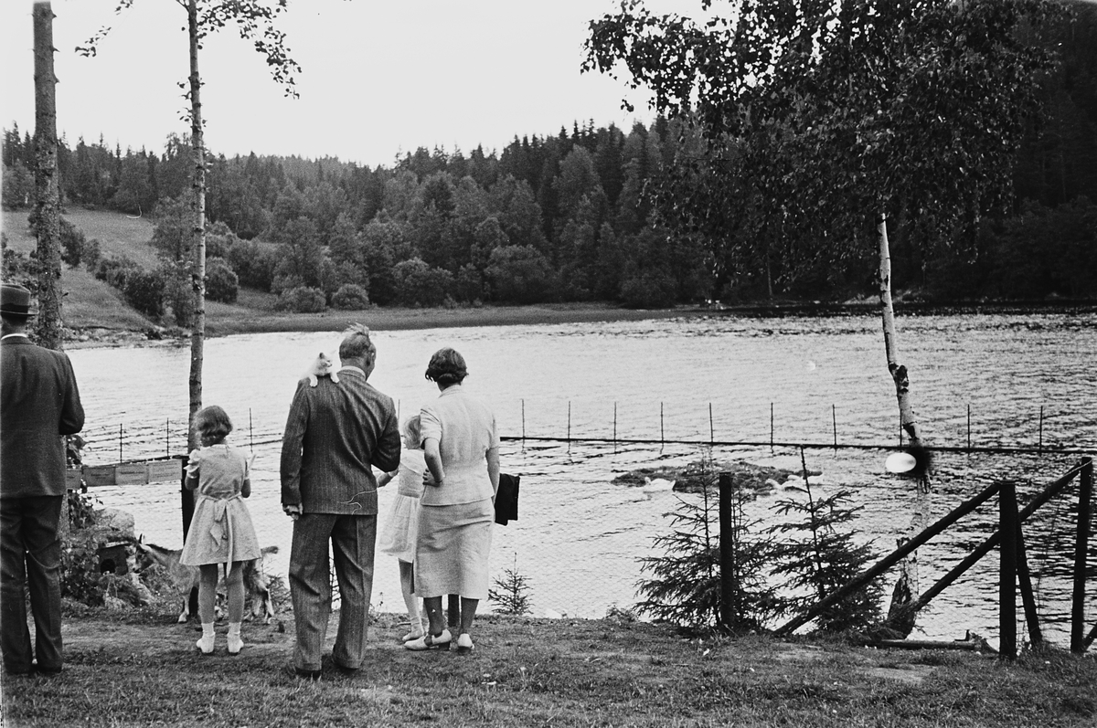 Anders Beer Wilse, Prot: Gjersjöviken