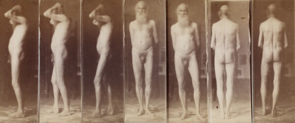 Thomas Eakins, Naked Series: Old Man