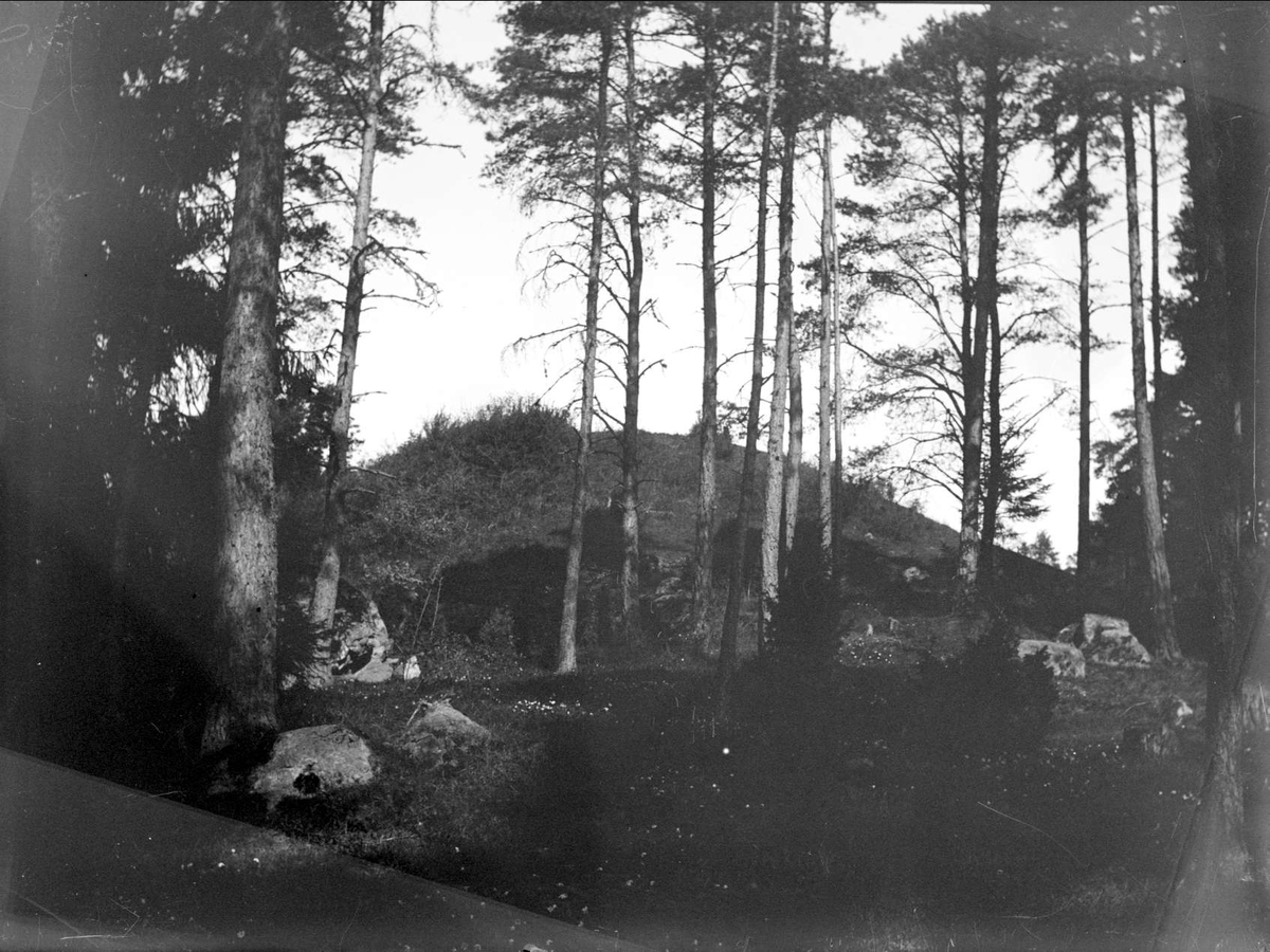 August Fredrik Schagerström, Håga mound, Håga, Uppsala 1914