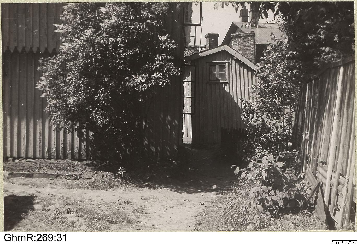 Otto Thulin, fotografi, bilder