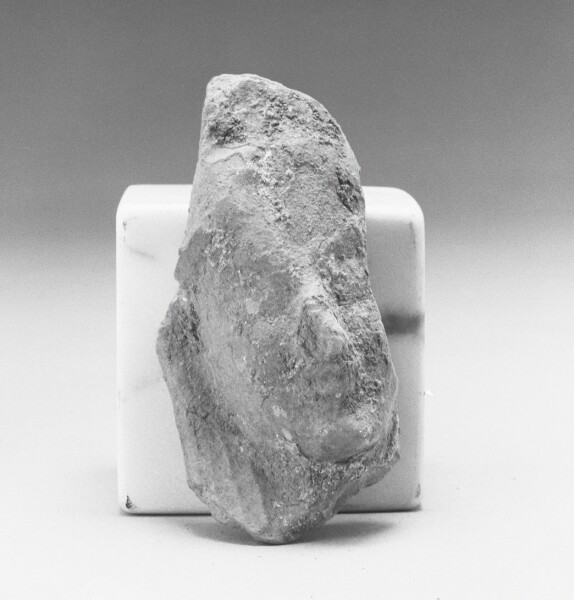 Unknown, Fragment of a Female Head