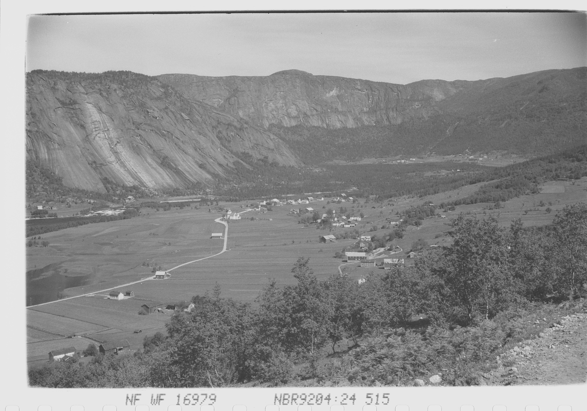 Anders Beer Wilse, Prot: Valle Setesdalen