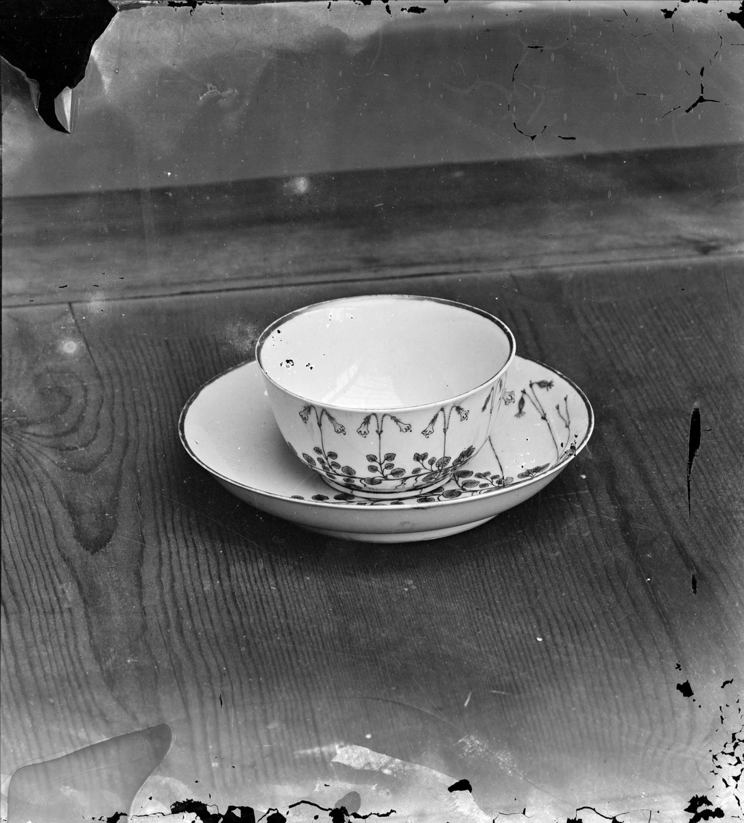 Henri Osti's Fotografiateliér, Kopp och fat ur Linnés teservis på Linnémuseet, Uppsala före 1914
