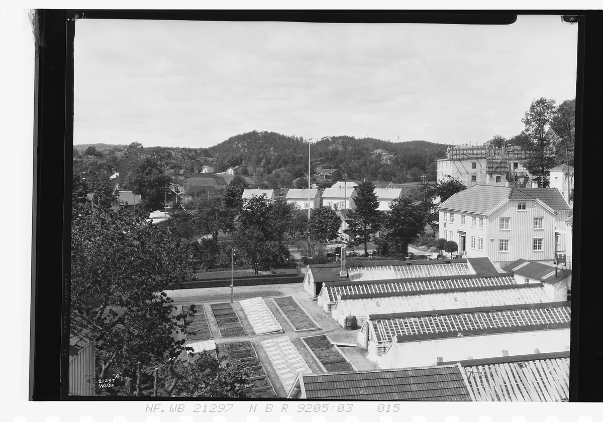 Anders Beer Wilse, Prot: Fuhrs Gartneri Grimstad