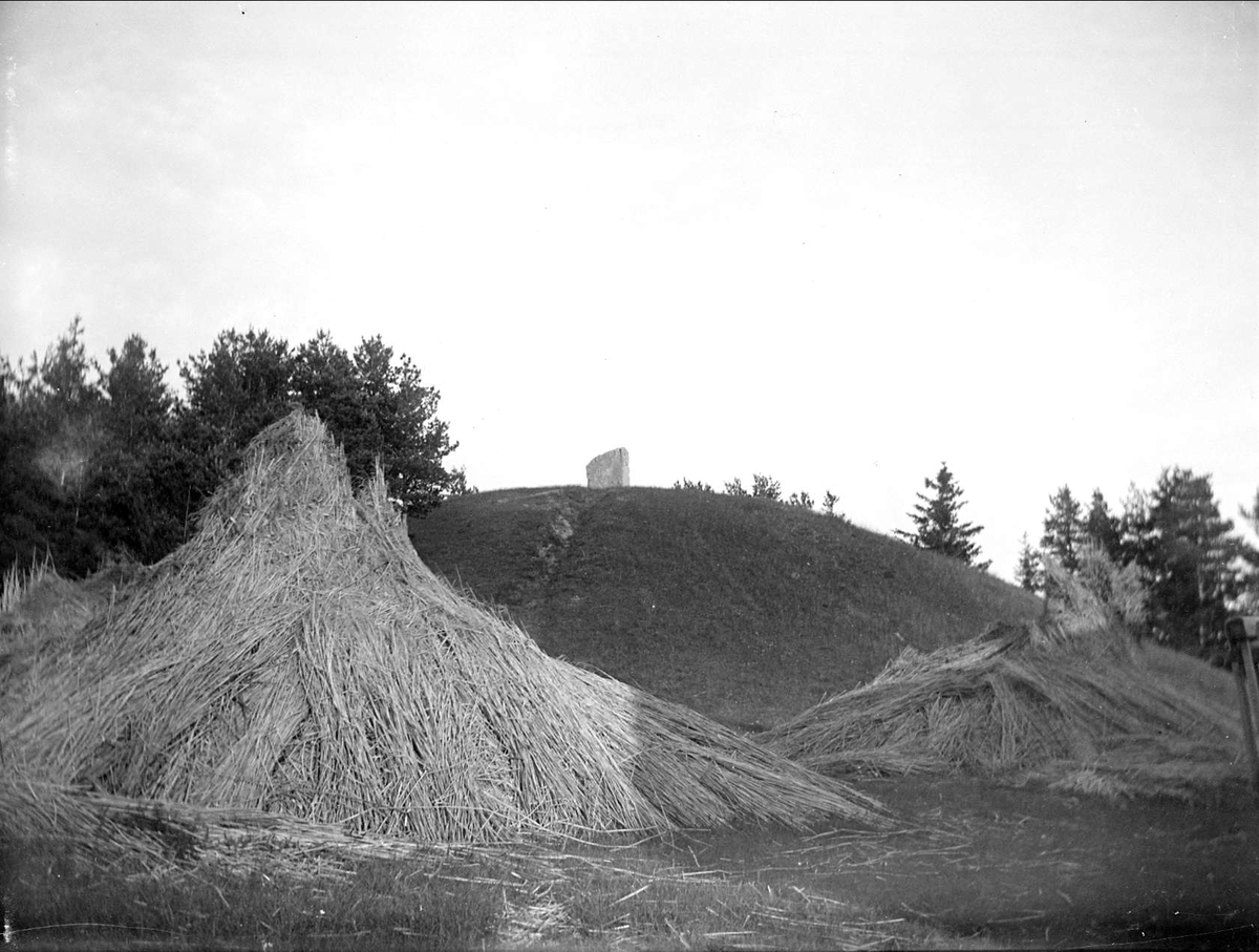 August Fredrik Schagerström, Kung Nordians hög, Åshusby, Norrsunda socken, Uppland 1916