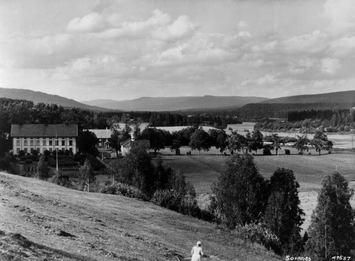 Anders Beer Wilse, Sorknes gård, Landbruk