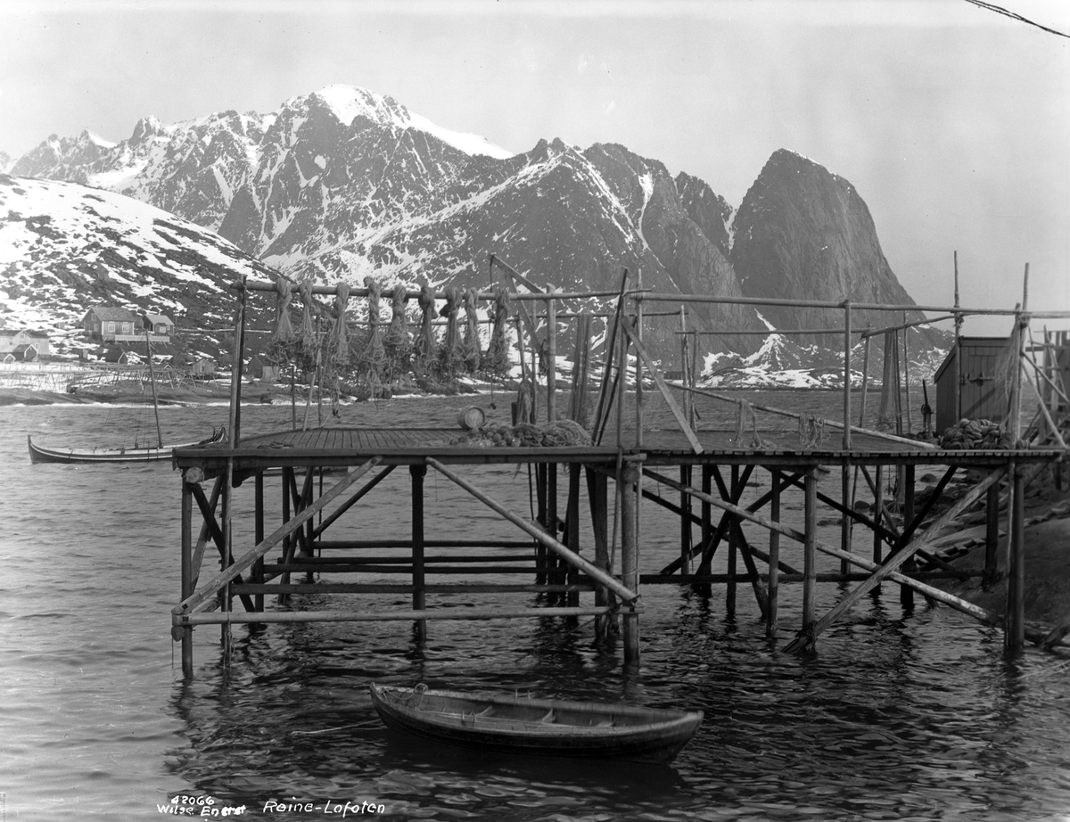 Anders Beer Wilse, Prot: Lofoten, Reine