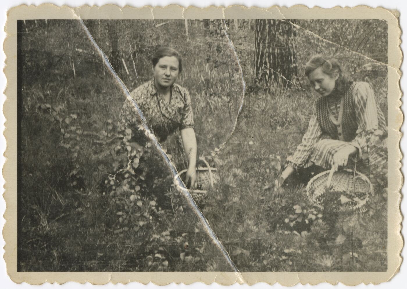 Nežinomas autorius, E. Matijošaitytė su drauge renka bruknes taigoje