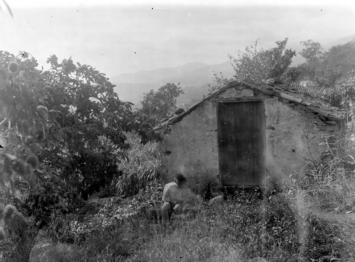 Juliane Fredrikke Langberg, Fra Madeira (ant.), mann med hatt sittende utenfor uthus i naturomgivelser. Serie ant. fra reise tilbake dit fotografen var med sin mor (1862-63) og hvor moren døde 1863. Fra malerinne Juliane Fredrikke Langbergs (1856-1930) samling tatt 1885-1910 med motivkrets slekt og venner og steder tilknyttet…