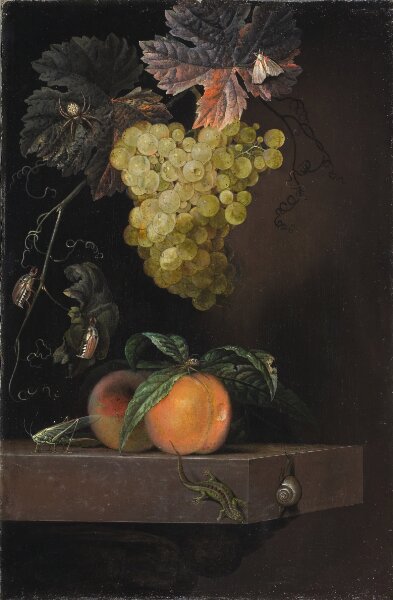 Ottmar Elliger, Stilleben med frukter, ödla och insekter